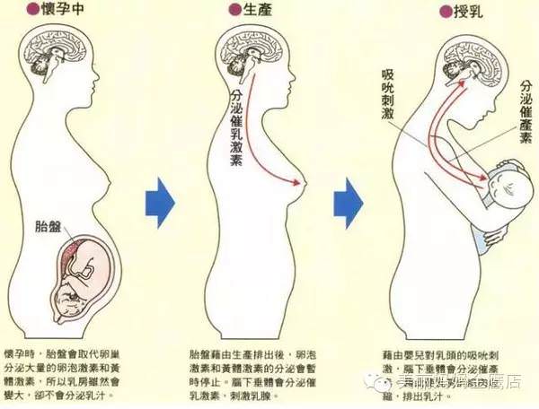 开奶,是指新生儿出生后开始的第一次喂奶,通过按摩,饮食,药膳等方法使